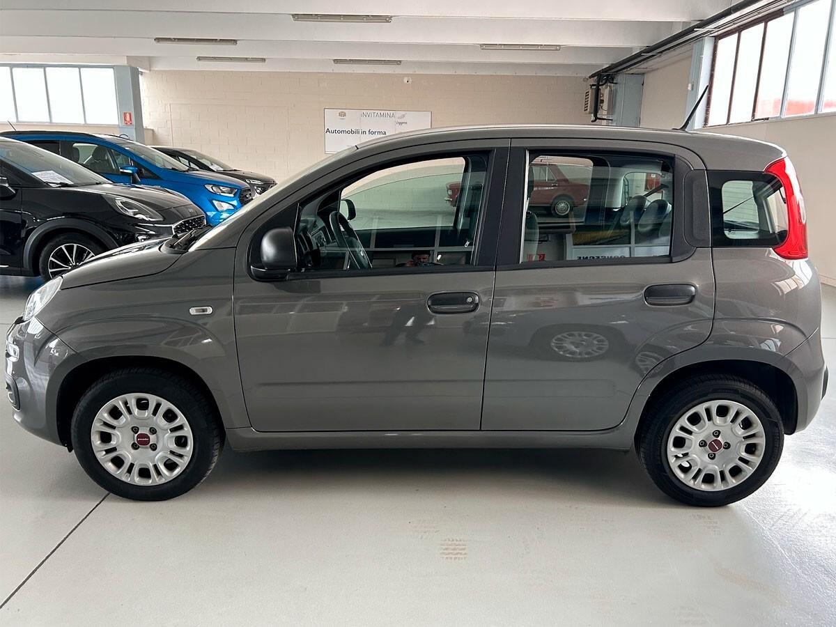 Fiat Panda 1.2 69cv Easy