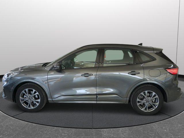 FORD Kuga 2.0 EcoBlue 120 CV aut. 2WD ST-Line