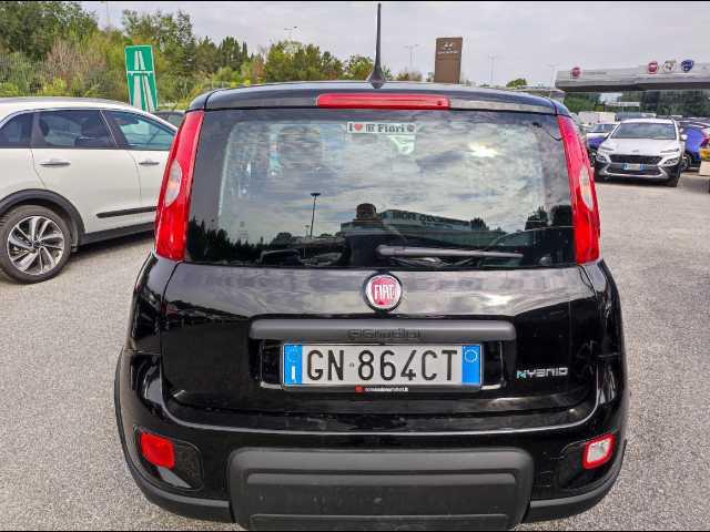 FIAT Panda III 2021 - Panda 1.0 firefly hybrid s&s 70cv