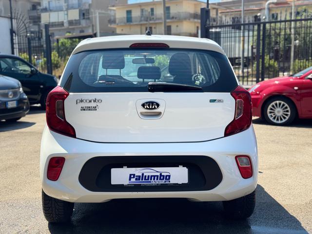 KIA Picanto 1.0 12V EcoGPL 5 porte City