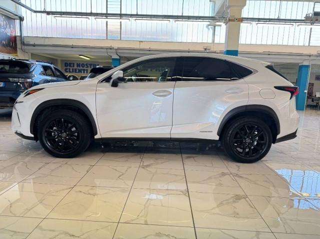 Lexus NX 300h 2.5 Premium 4wd cvt