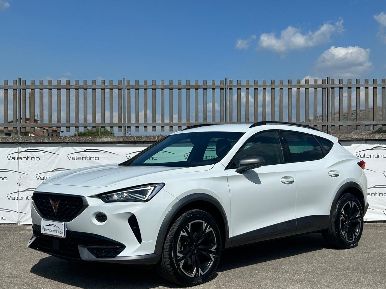 Cupra Formentor 2.0 TDI 4Drive DSG