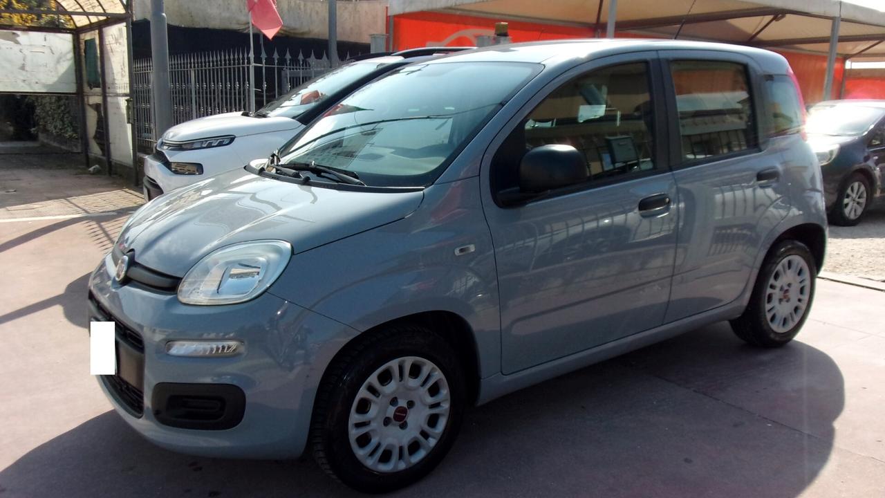 Fiat Panda 1.2 Easy