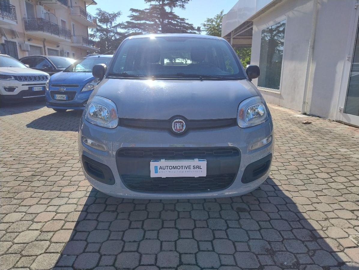 FIAT - Panda - 1.2 Easy