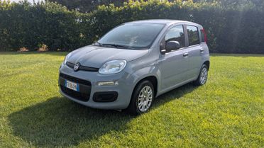Fiat Panda 1.2 Easy SOLO 4000 KM!