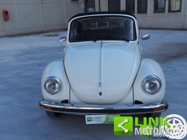 VOLKSWAGEN Maggiolone cabrio