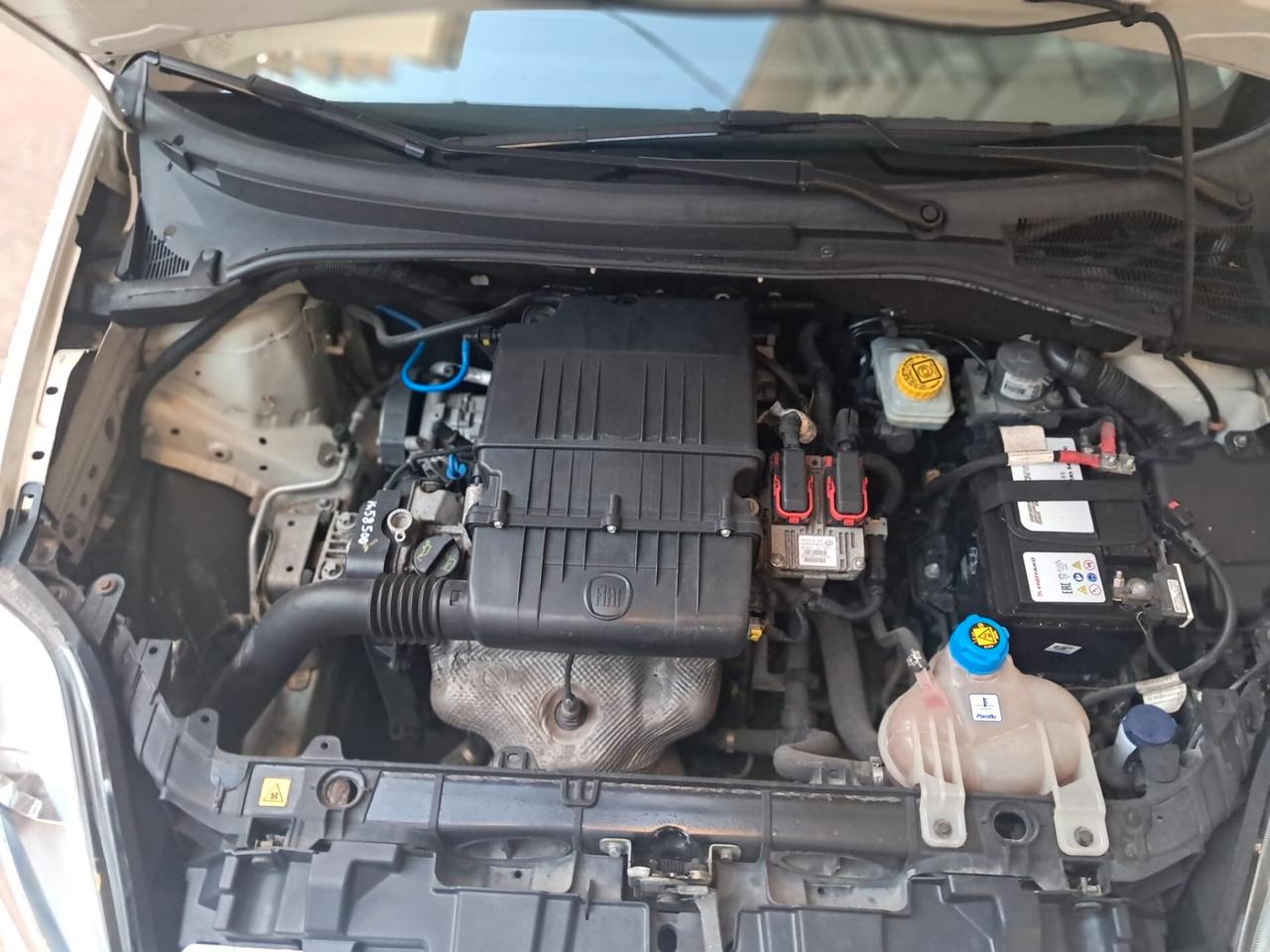 Fiat Punto Evo 1.2 5 porte-NEOPATENTATI-Euro4890-