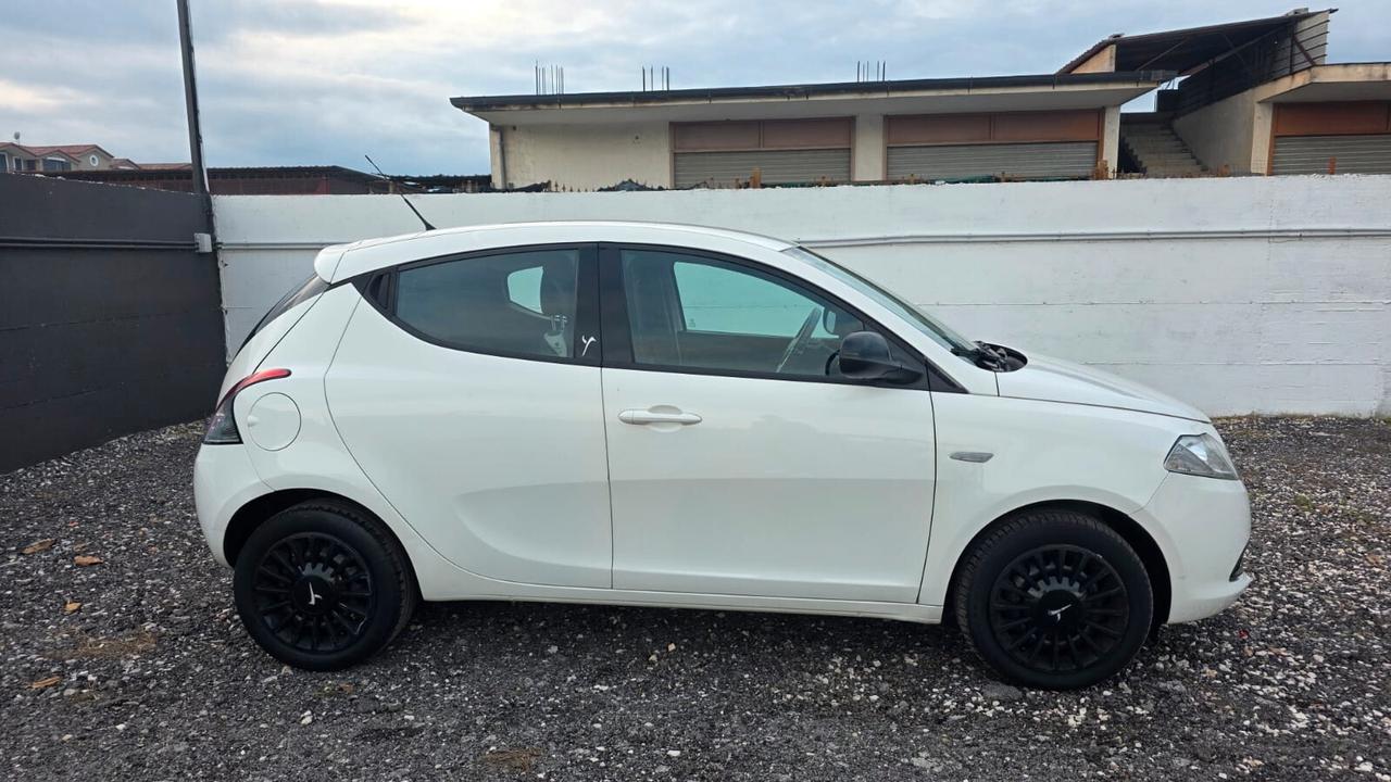 Lancia Ypsilon 1.2 69 CV 5 porte Elefantino