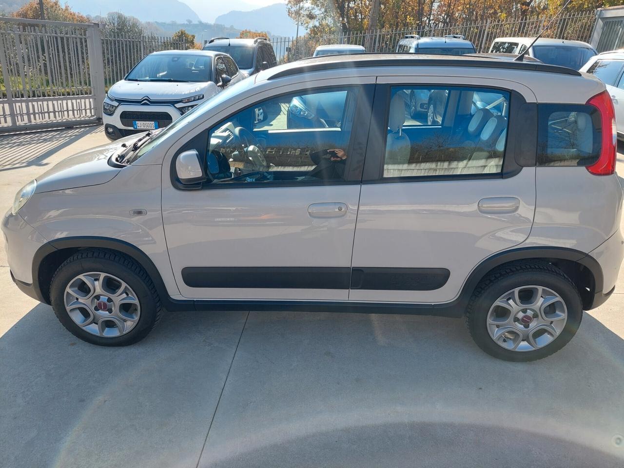 Fiat Panda 1.3 MJT S&S 4x4-ELD Antartica