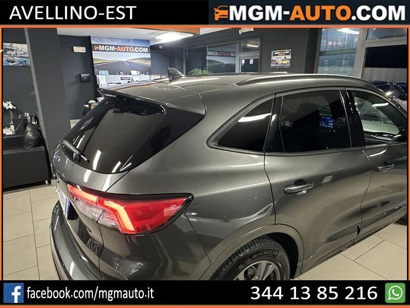 Ford Kuga 1.5 EcoBlue 120 CV aut. 2WD ST-Line X