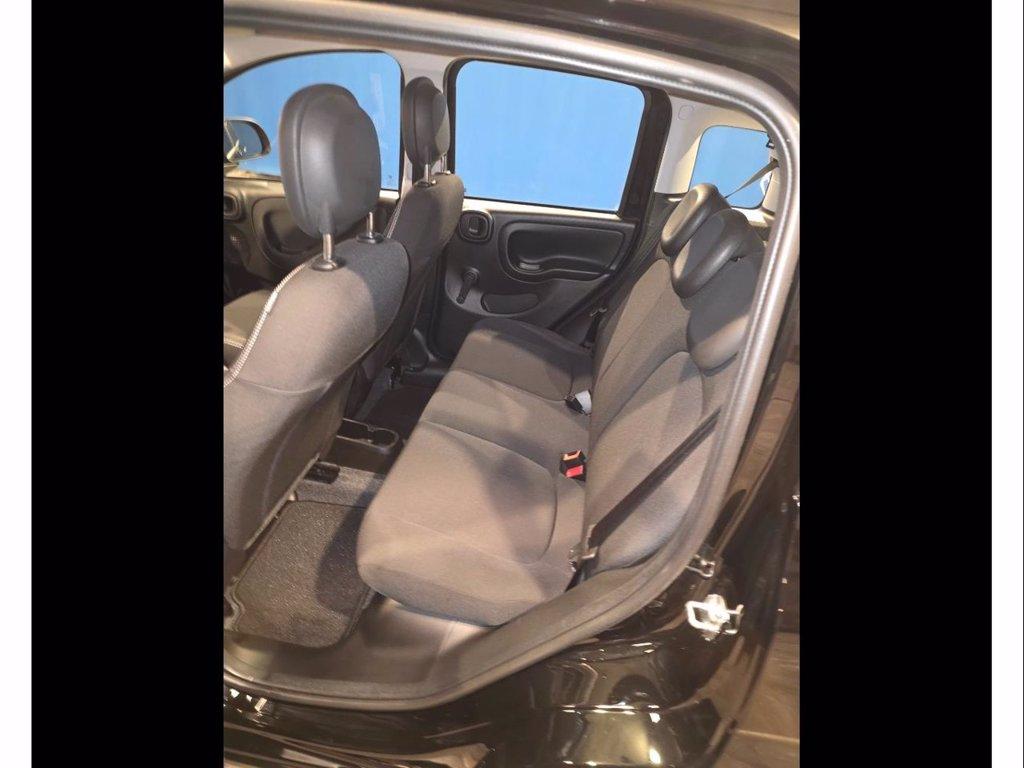 FIAT Panda 1.0 firefly hybrid icon s&s 70cv 5p.ti del 2025