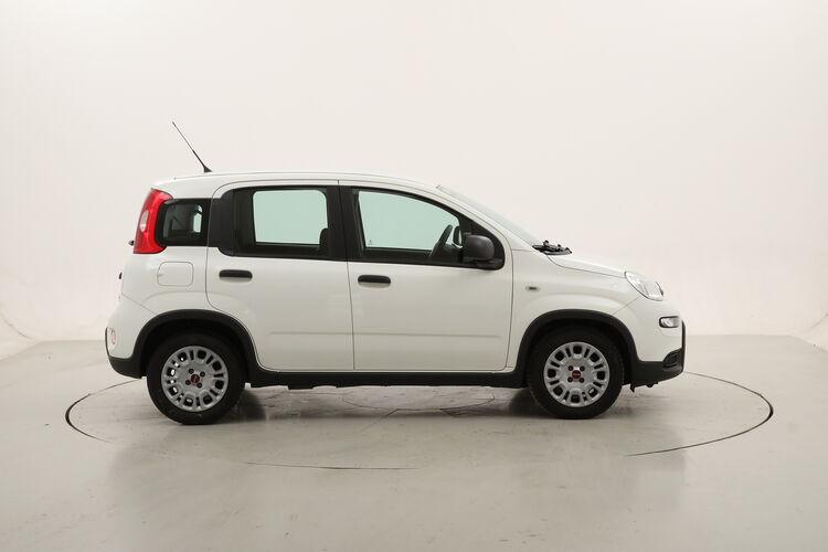 Fiat Panda Hybrid BR063314 1.0 Mild Hybrid 70CV