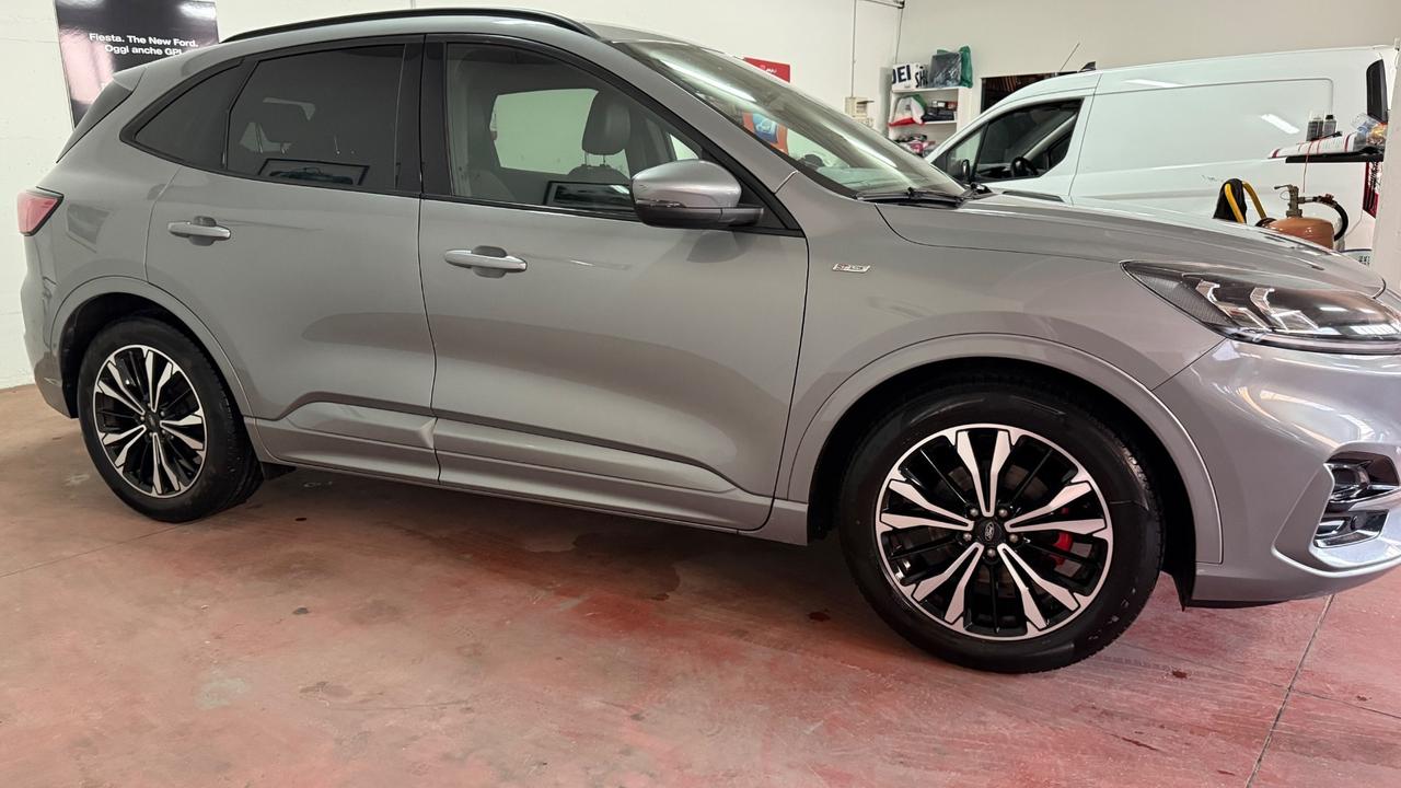 Ford Kuga 2.0 EcoBlue Hybrid 150 CV 2WD St Line X