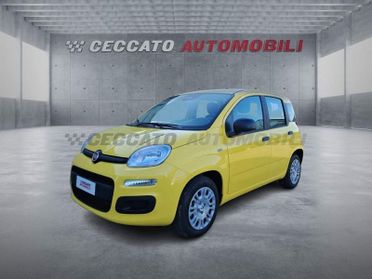 FIAT Panda Panda 1.0 70cv Hybrid Icon