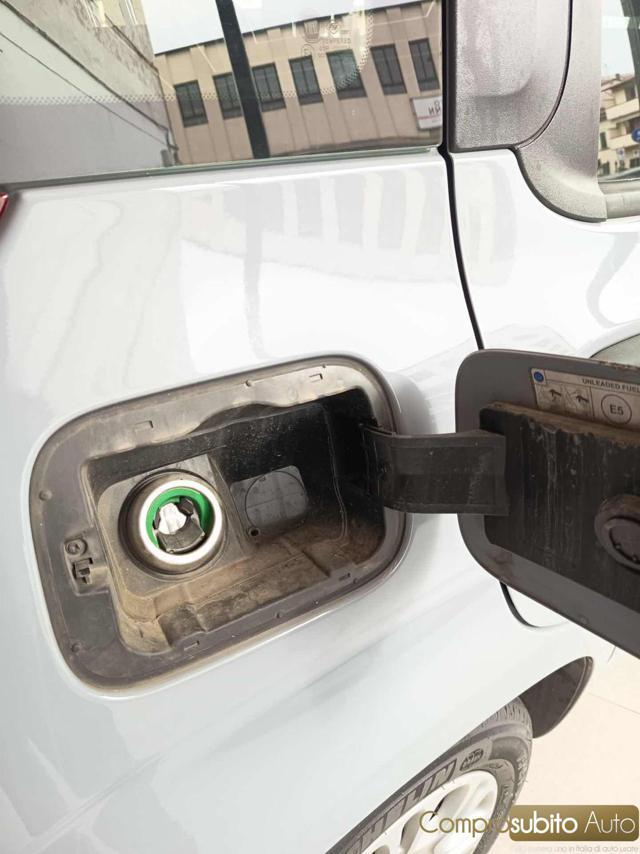 FIAT Panda 1.0 FireFly S&S Hybrid Easy