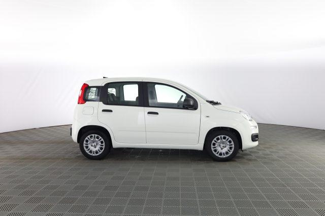 FIAT Panda Pandina 1.0 FireFly 65 CV Hybrid Icon