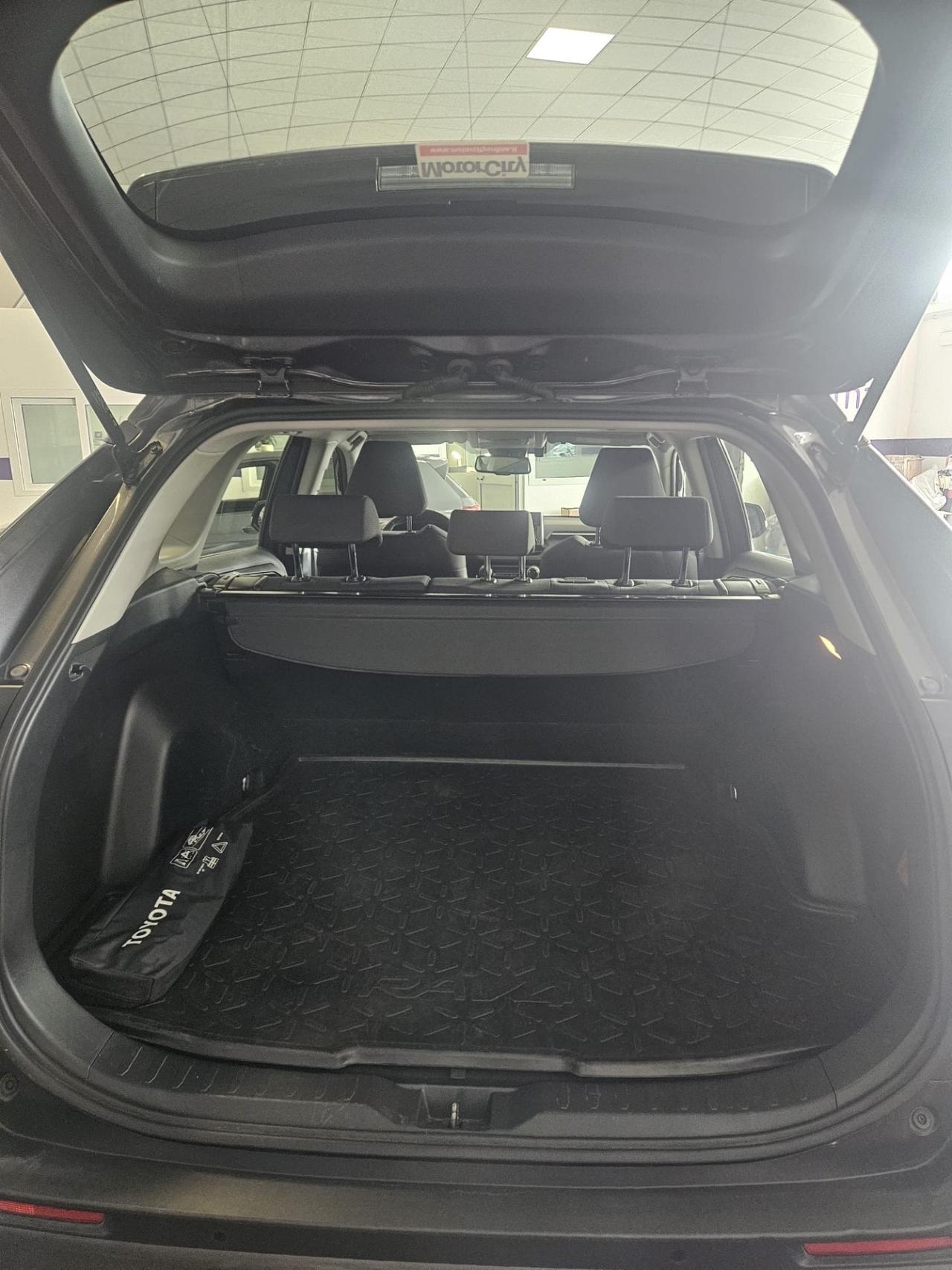 Toyota RAV 4 hybrid