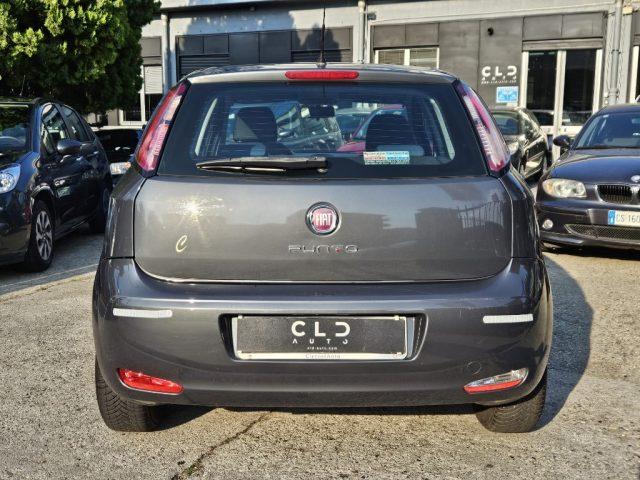 FIAT Punto 1.3 MJT II S&S 95 CV 5 porte Easy