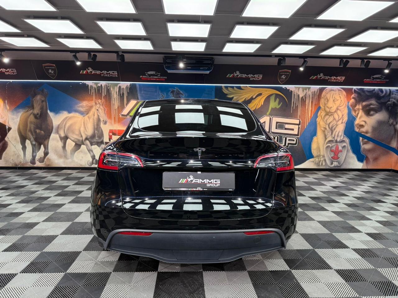 Tesla Model Y RWD (995)