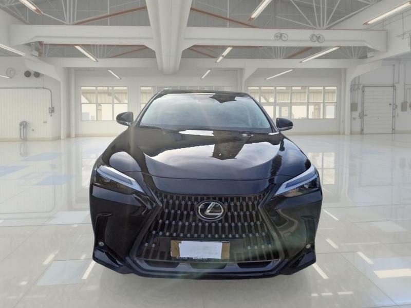 LEXUS NX 350h 2.5 Premium 4wd 190 CV e-cvt