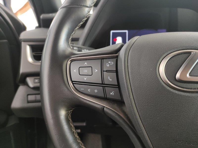 LEXUS UX - UX Hybrid Business