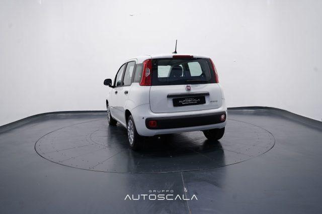 FIAT New Panda My25 1.0 FireFly S&S Hybrid