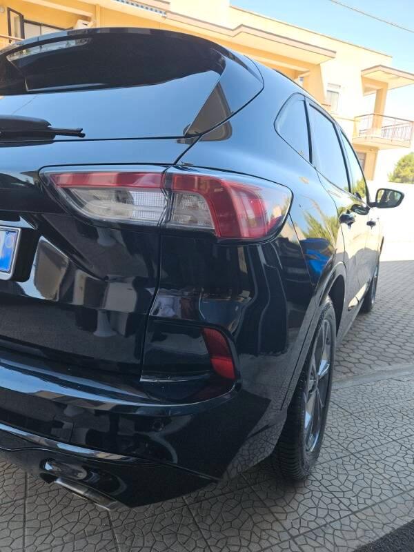 Ford Kuga 1.5 ecoblue ST-Line X 2wd 120cv auto