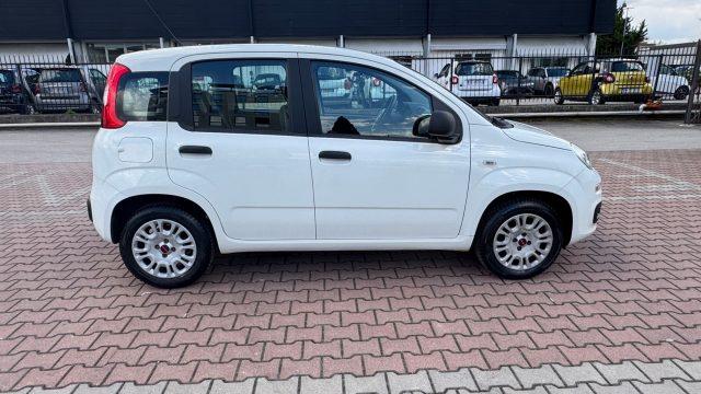 FIAT New Panda 1.2 S.&S. E6D-TEMP EASY 5 POSTI GUIDABILE NEOPA