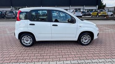 FIAT New Panda 1.2 S.&S. E6D-TEMP EASY 5 POSTI GUIDABILE NEOPA