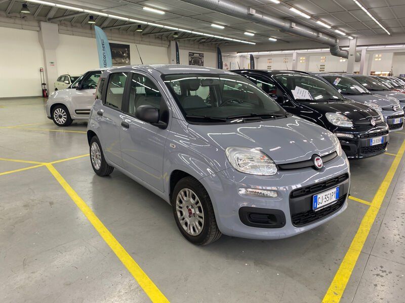 FIAT Panda 3ª serie 1.0 FireFly S&S Hybrid