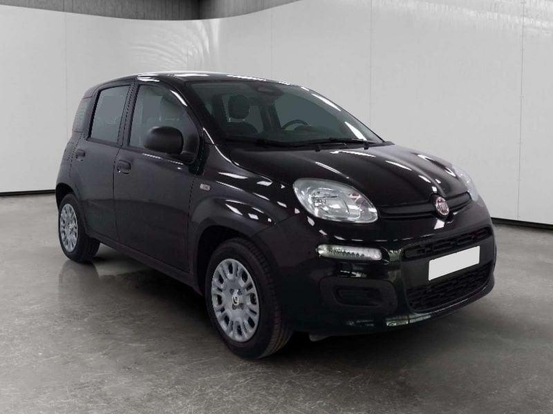 FIAT Pandina 1.0 firefly hybrid Icon s&s 70cv 5p.ti