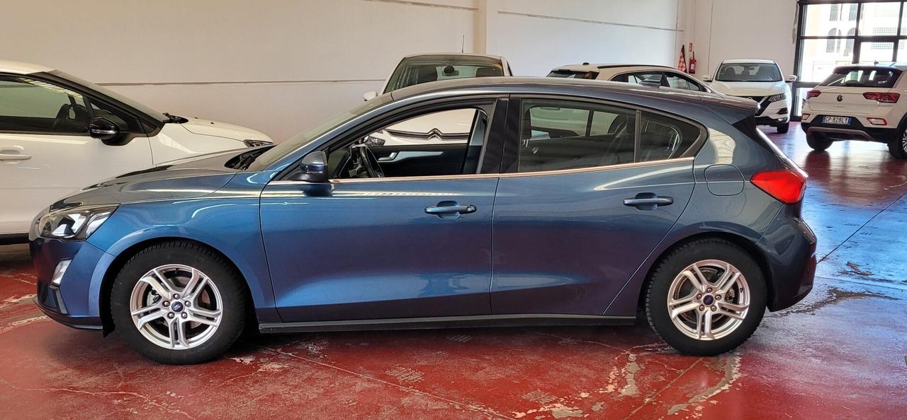 Ford Focus 1.0 EcoBoost Hybrid 125 CV 5p. Business