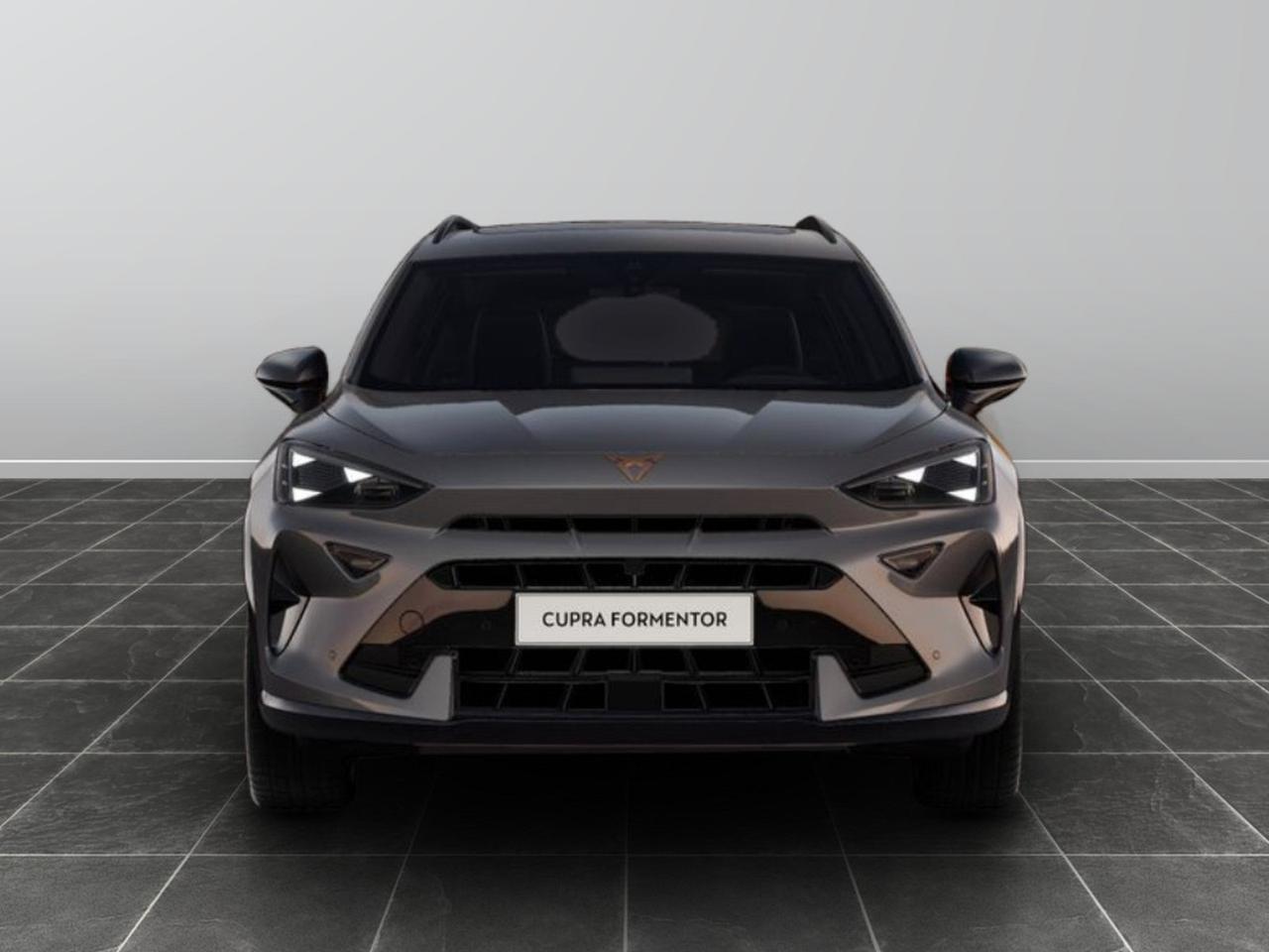 Cupra Formentor 2.0 tdi 150cv dsg