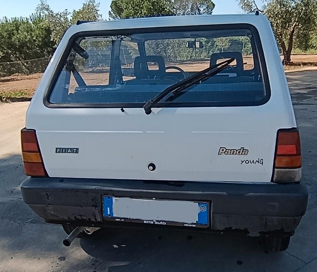 Fiat Panda 900 i.e. cat Young