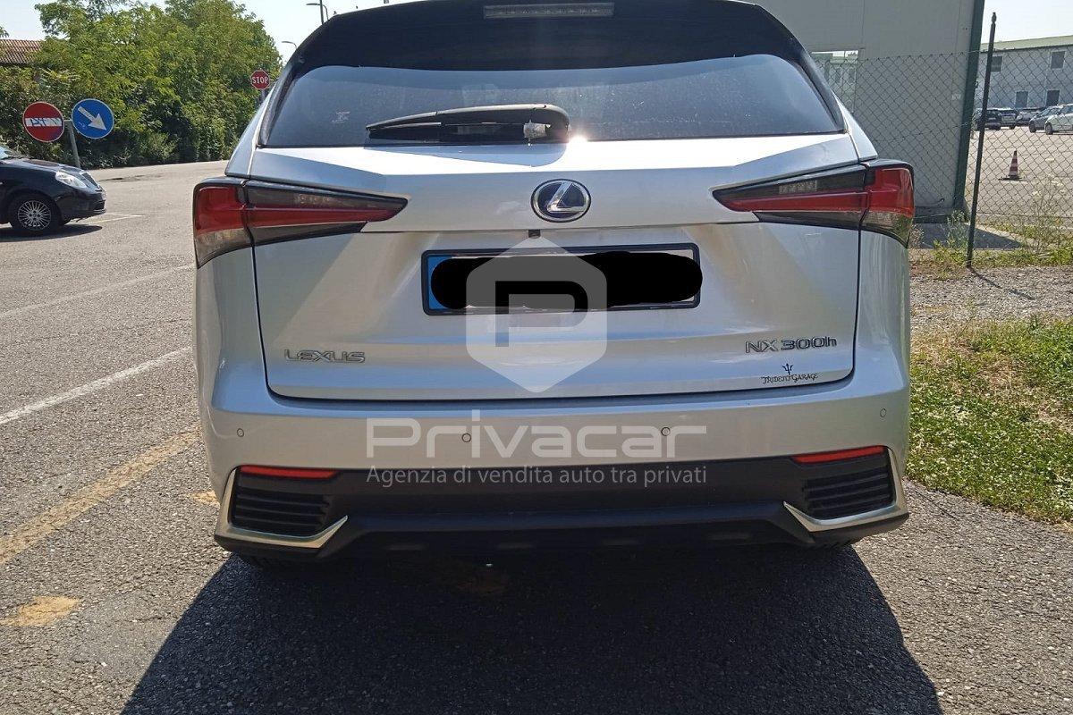 LEXUS NX Hybrid 4WD Luxury