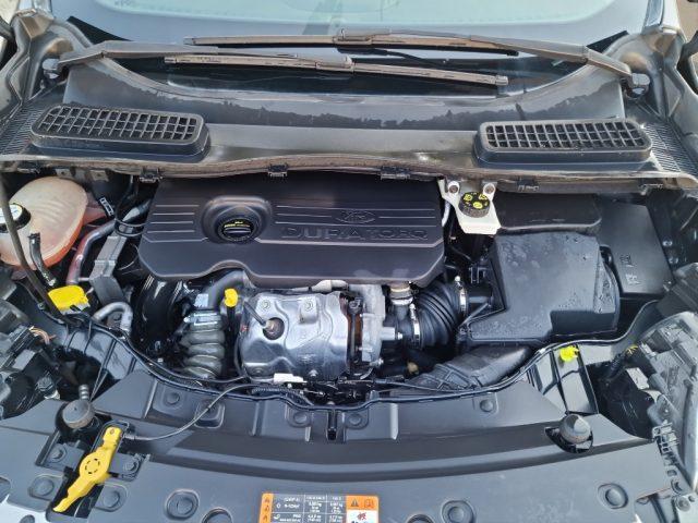 FORD Kuga 1.5 TDCI 120 CV S&S 2WD Business
