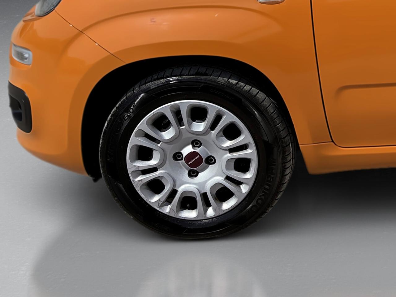 Fiat Panda 1.2 Easy VENDITE 3491558563 - 3478673115