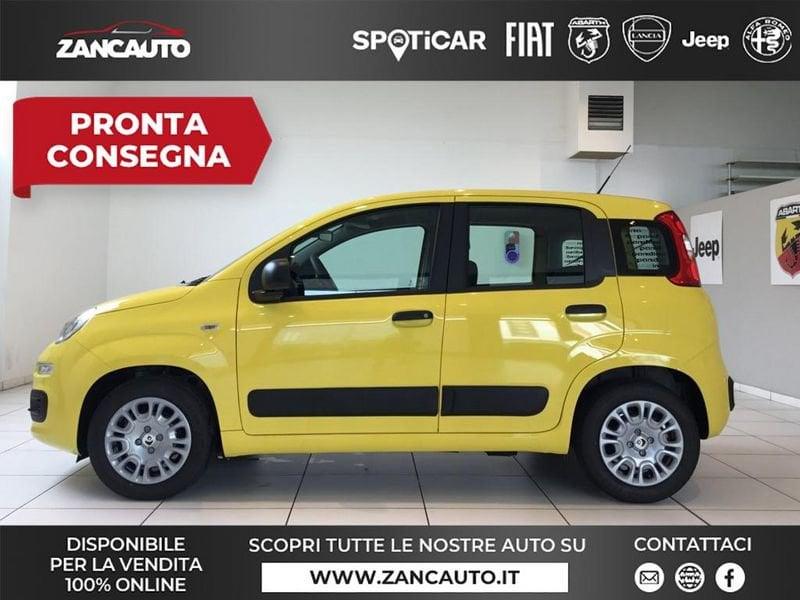 FIAT Panda Panda 1.0 FireFly S&S Hybrid Pop 65cv