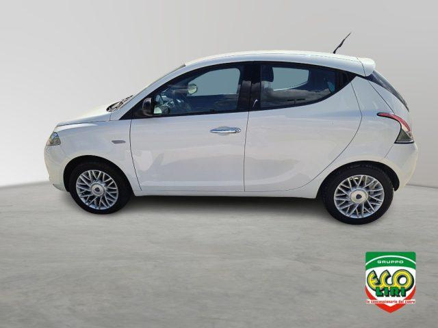 LANCIA Ypsilon 1.2 69 CV 5 porte Gold