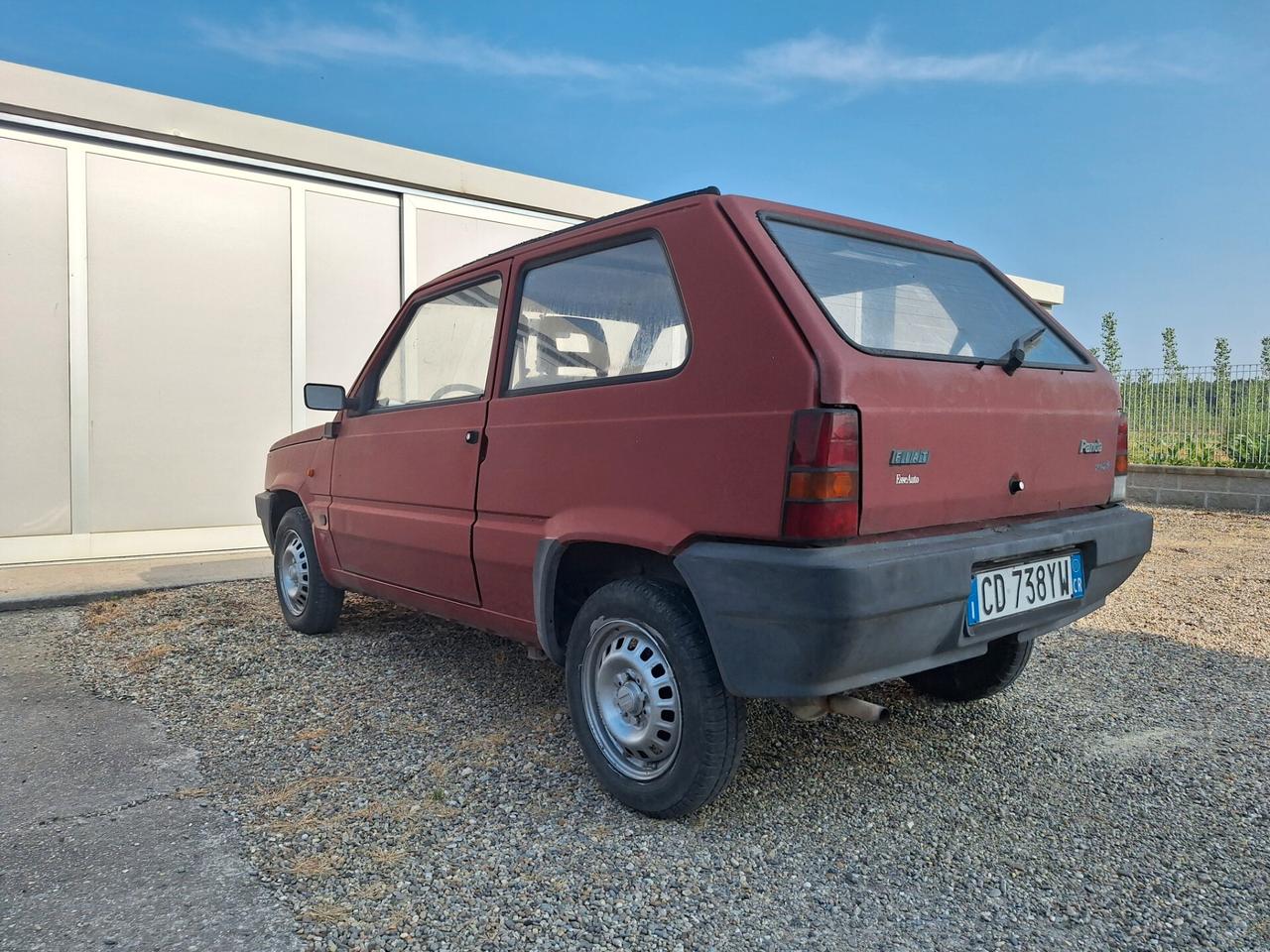 Fiat Panda 1100 i.e. cat Young