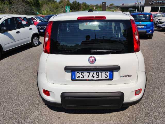 FIAT Panda 1.0 firefly hybrid s&s 70cv