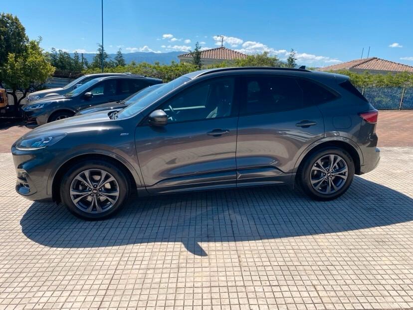 Ford Kuga 1.5 EcoBlue 120 CV aut. 2WD ST-Line X