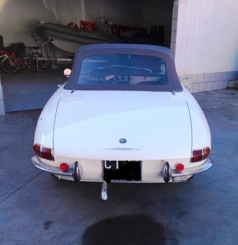 Alfa Romeo Spider 1750 osso di seppia