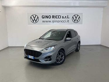 Ford Kuga 1.5 EcoBlue 120 CV 2WD ST-Line