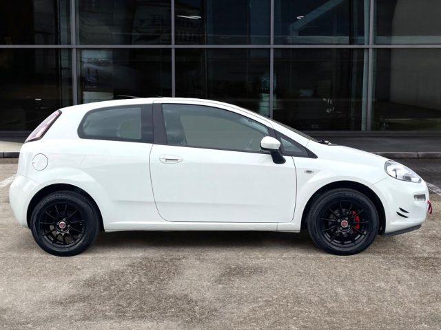 FIAT Punto 1.2 BENZ 69 CV 8V 3 porte Lounge