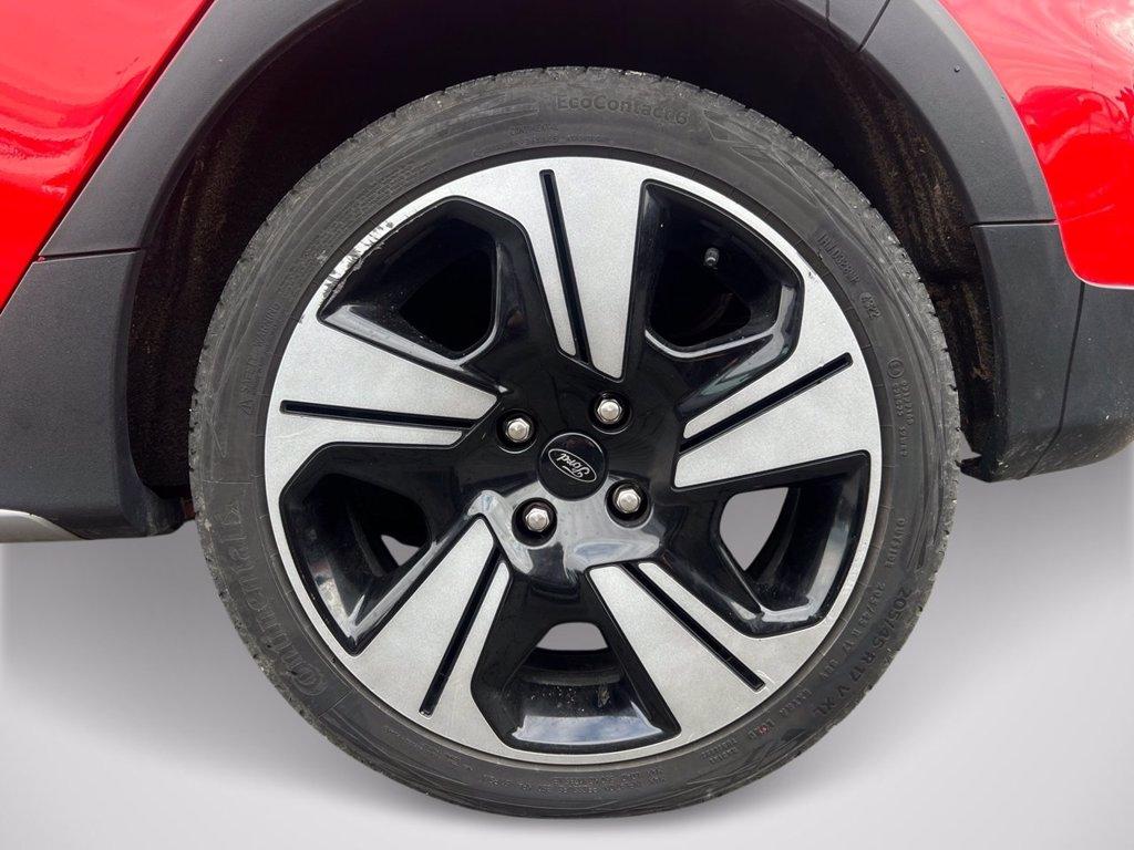 FORD Fiesta Active 1.0 Ecoboost Hybrid 125 CV 5 porte del 2023