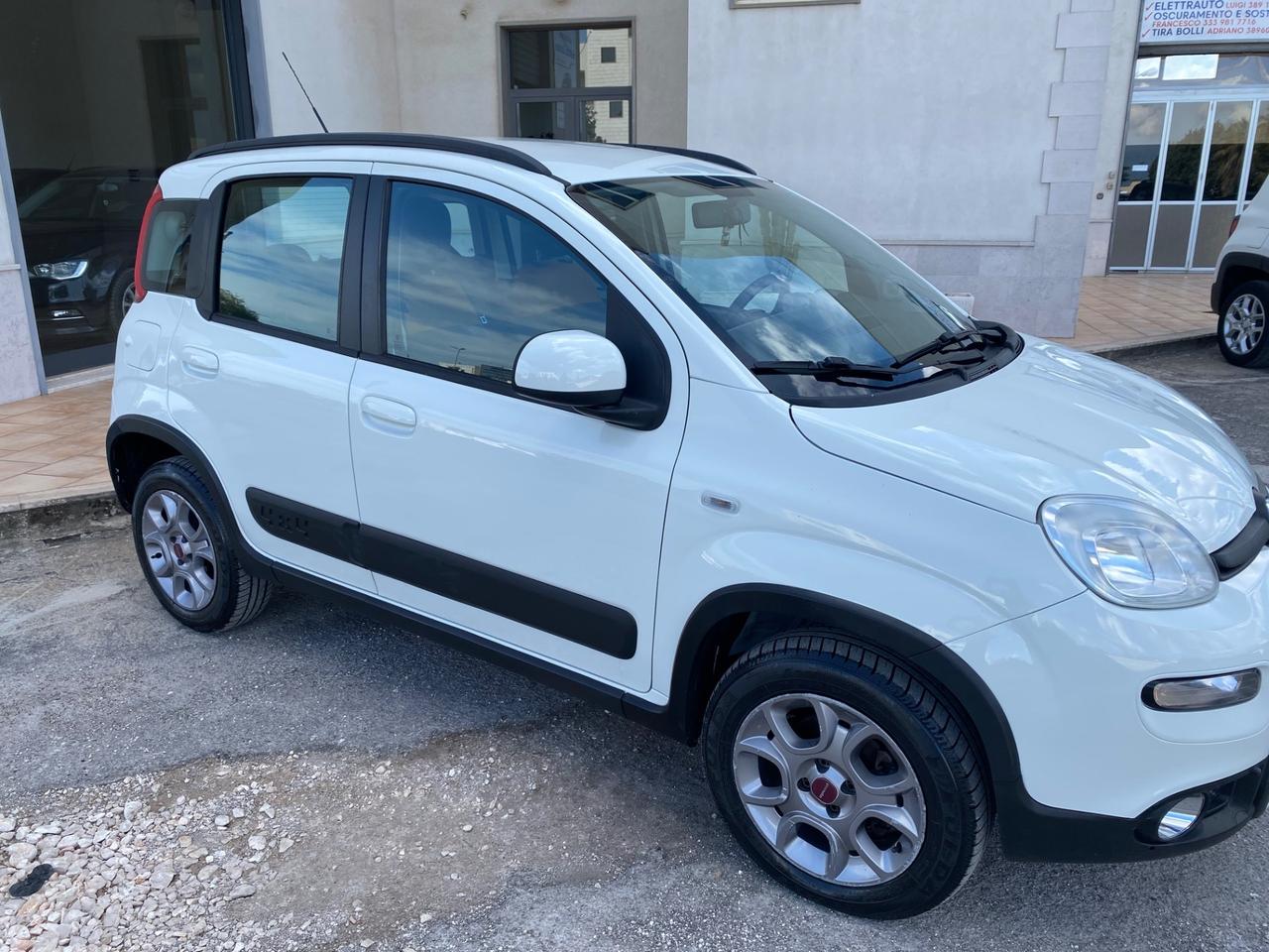 Fiat Panda 1.3 MJT S&S 4x4 Antartica