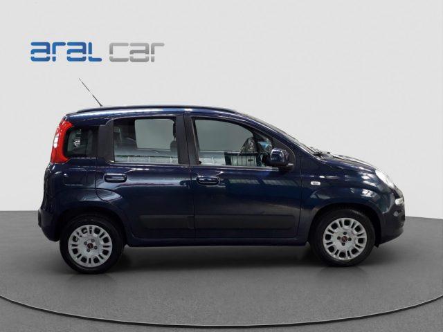 FIAT Panda 1.2 BZ 69 CV LOUNGE *CINGHIA DISTRIBUZIONE OK*
