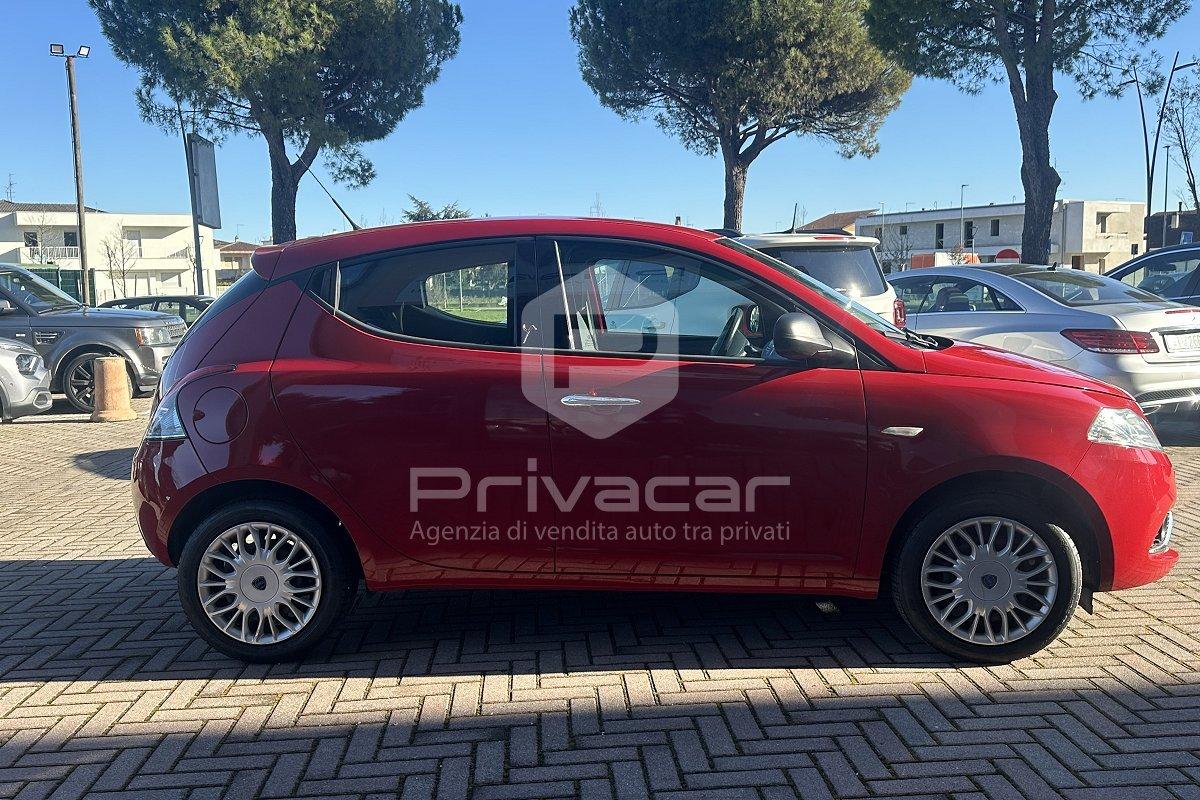 LANCIA Ypsilon 1.2 69 CV 5 porte Elefantino