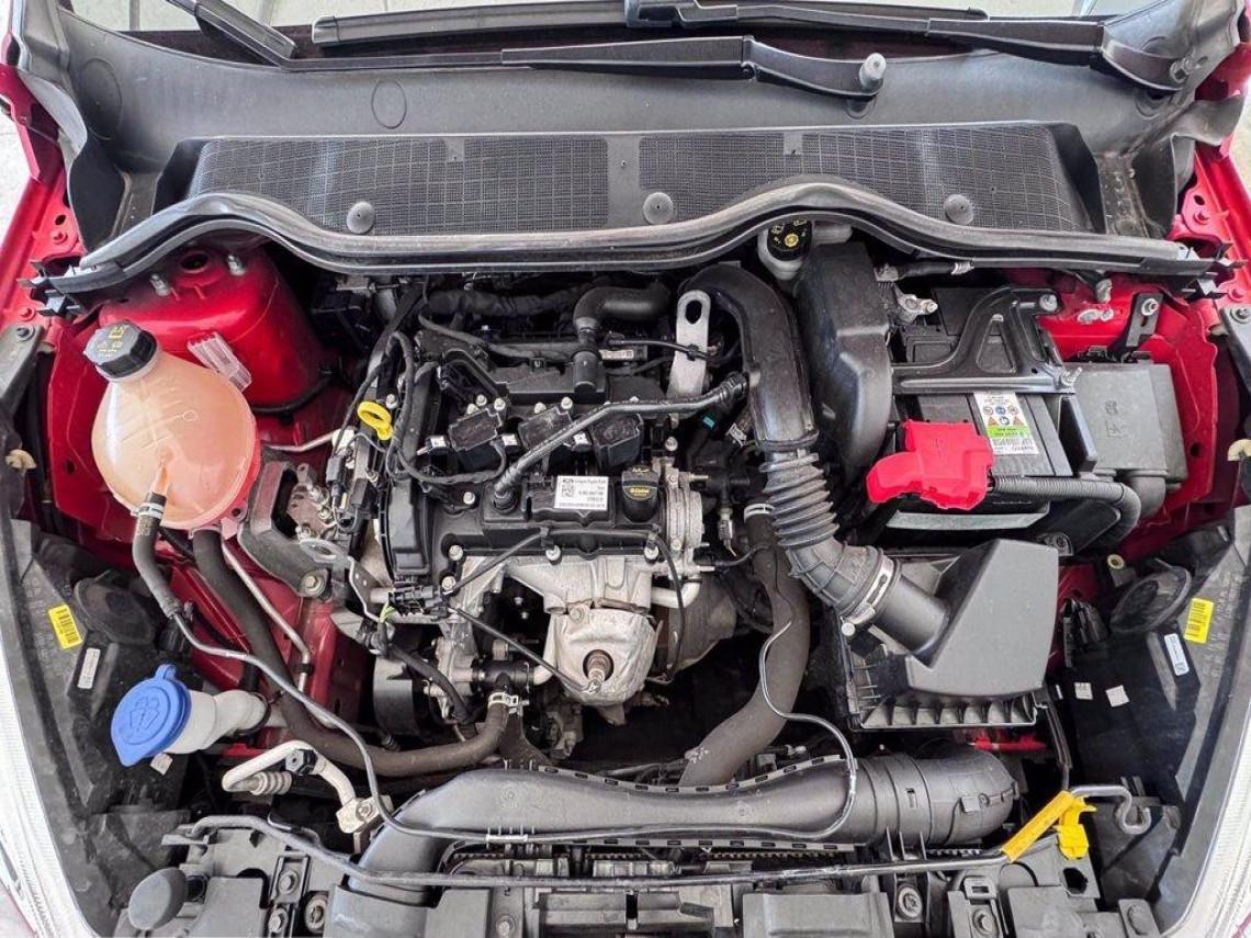 FORD Fiesta 5p 1 1 connect ses 75cv